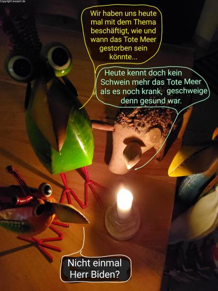5247-17.01.2023