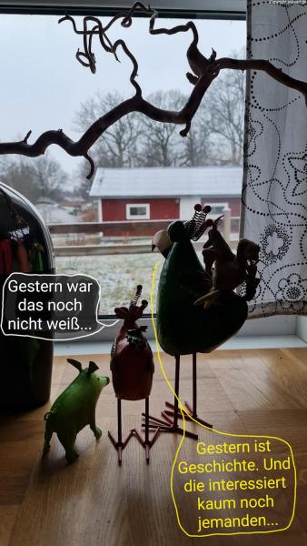 5321-24.02.2023