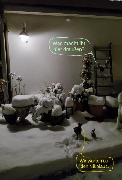 5662-5. Dezember 2023