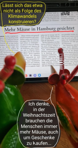 5664-7. Dezember 2023