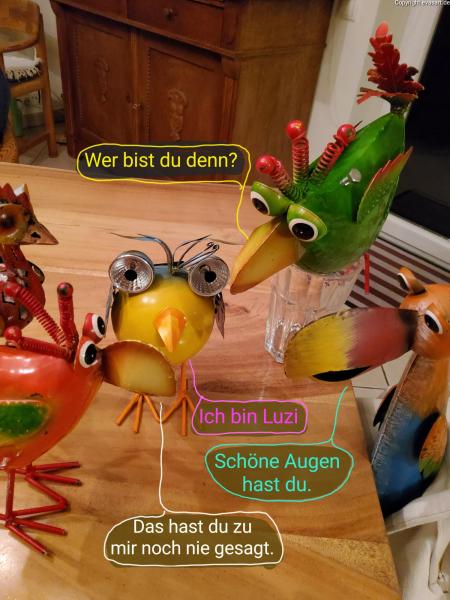 5679-22. Dezember 2023