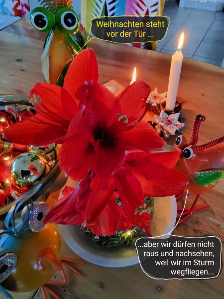 5680-22. Dezember 2023