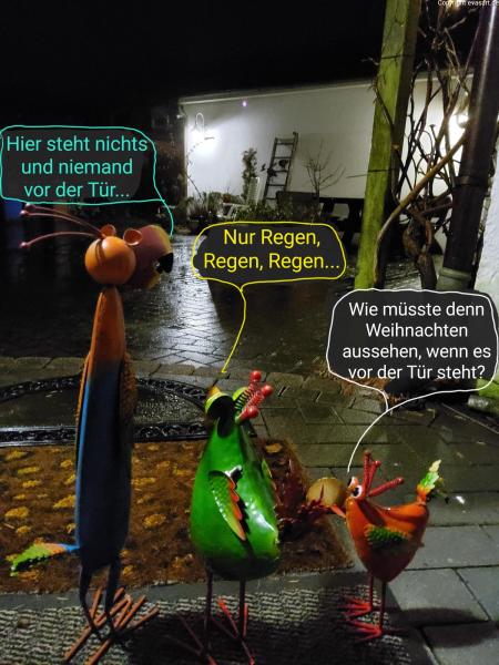 5681-23. Dezember 2023