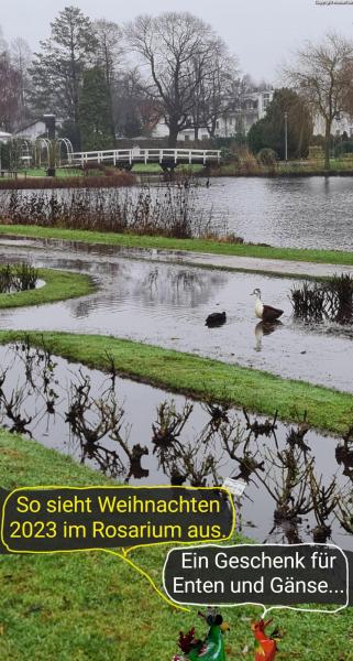 5684-25. Dezember 2023