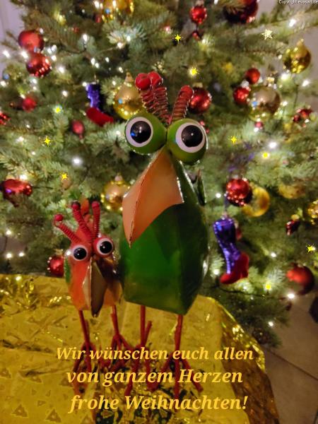5682-24. Dezember 2023