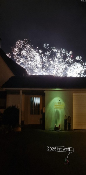 6480-1.  Januar 2026