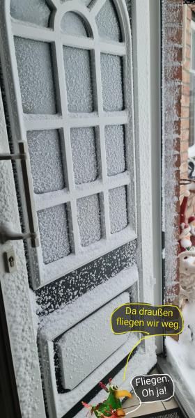 6491-10. Januar 2026