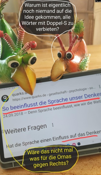 6493-19. Januar 2026