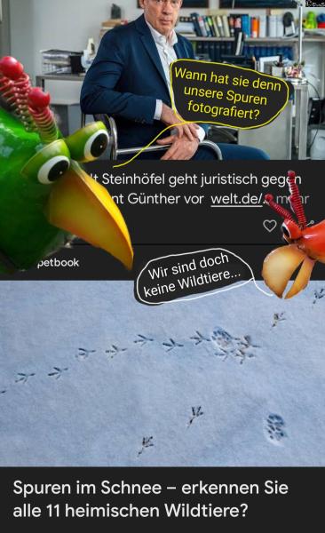 6495-13. Januar 2026