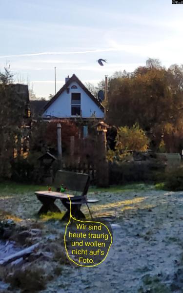 6508-23. Januar 2026