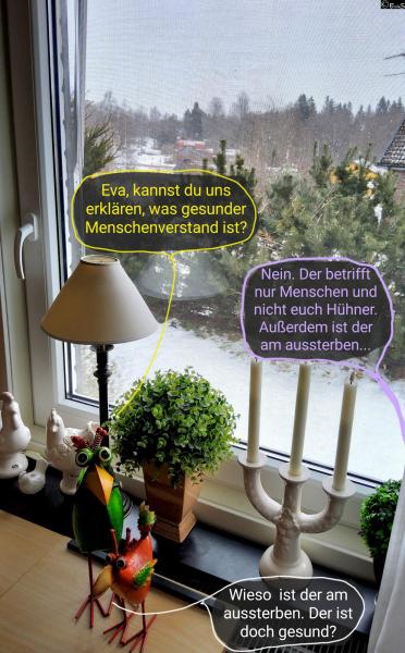 6519-5. Februar 2026