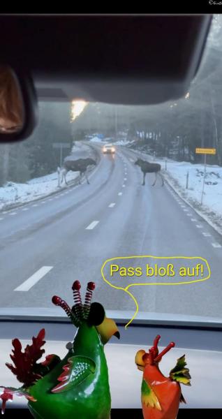 6522-6. Februar 2026