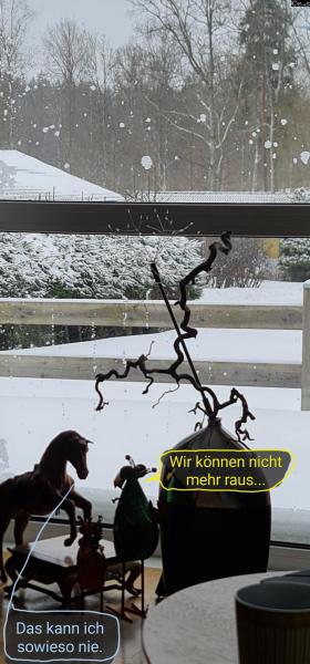 6523-7. Februar 2026