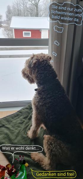 6528-12. Februar 2026