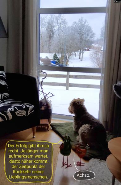 6529-12. Februar 2026