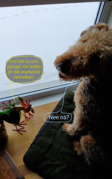 6530-12. Februar 2026