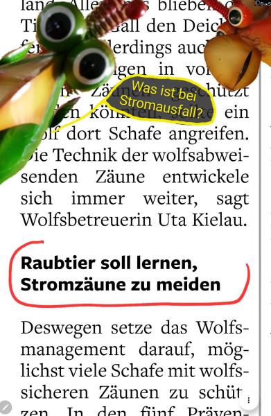 6532-14. Februar 2026