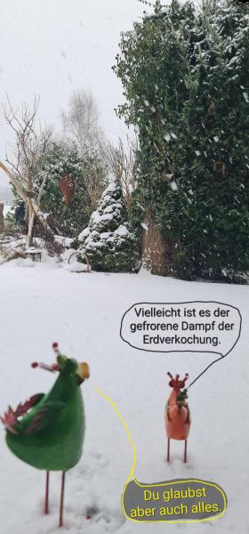 6534-17. Februar 2026