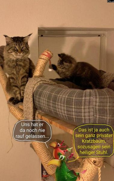 6535-16. Februar 2026