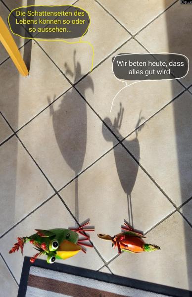 6537-18. Februar 2026