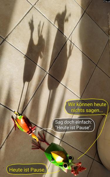 6538-19. Februar 2026