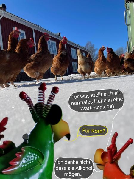 6543-26. Februar 2026