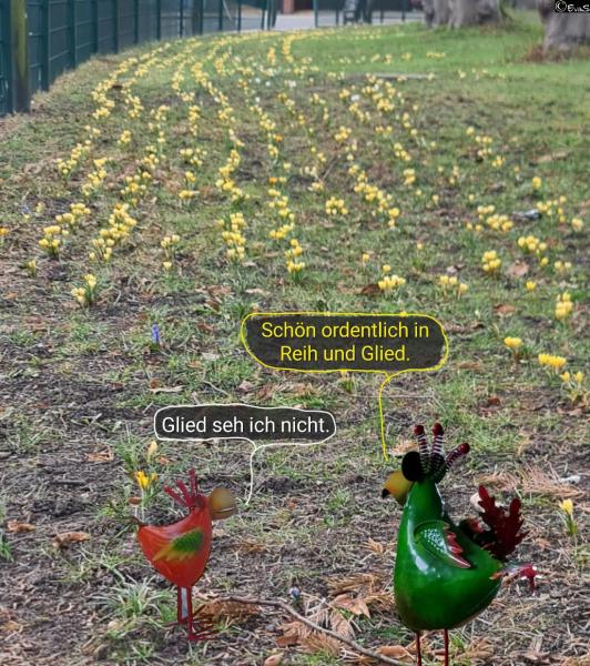 6545-28. Februar 2026